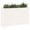 vidaXL Garden Raised Bed White Solid pine wood 47.0 x 15.7 x 30.7 in