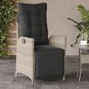 vidaXL Reclining Garden Chair Light grey, Anthracite