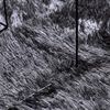 vidaXL Shaggy Rug Dark Grey 100% Polyester 63.0 x 63.0 in Non-slip Rug