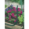 Nature Greenhouse Transparent Polyethylene, Steel Small Collapsible