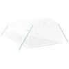 vidaXL Greenhouse White Polyethylene (PE) Large UV-resistant materials