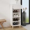 vidaXL Shoe Cabinet White Engineered wood, Solid eucalyptus wood Compact