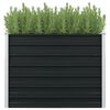 vidaXL Raised Garden Bed Anthracite Galvanized steel 39.4 x 39.4 x 30.3 in
