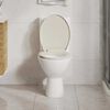 vidaXL Soft-Close Toilet Seat Apricot Oval