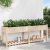 vidaXL Garden Planter Beige 79.92 x 20.87 x 30.12 in Solid Fir Wood