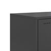 vidaXL TV Cabinet Black Steel Standard Storage TV Cabinet