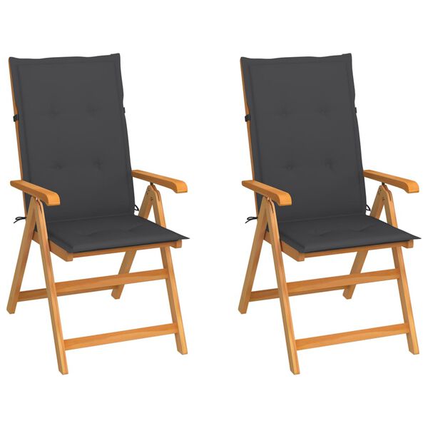vidaXL Garden Chair Set of 2 Teak Wood Teak wood Medium Foldable