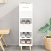 vidaXL Shoe Cabinet High gloss white Engineered wood Slim, Tall