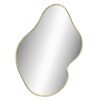 vidaXL Wall Mirror Gold Glass, PVC 23.6 x 19.7 in Mirror Wall Mirror