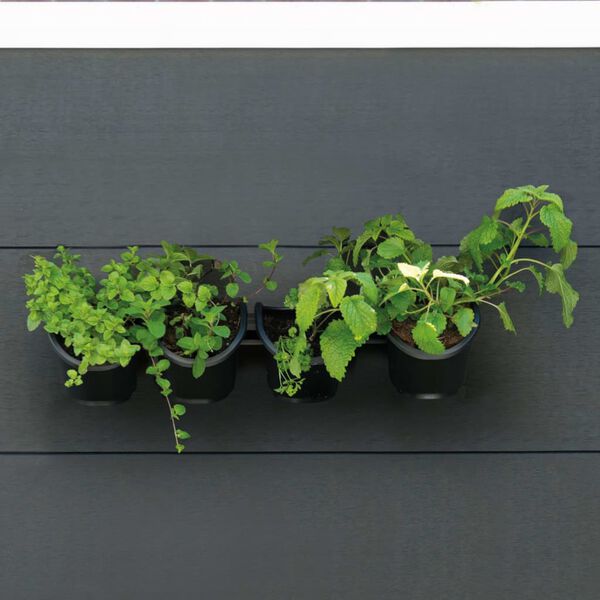Nature Flower Pot Black Polypropylene Medium Wall mounting Flower Pot