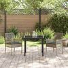 vidaXL Garden Chair 2 pcs Gray 53 x 60 x 85cm poly rattan