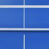 vidaXL 5 Feet Ping Pong Table with Net 59.8x29.9x26.0" Blue