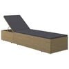vidaXL Sunlounger Brown and Dark Grey PE rattan Standard Foldable