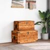 vidaXL Storage Box Rough Mango Wood Multiple Sizes Included Sturdy