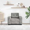 vidaXL Sofa Chair Light Grey Velvet, Plywood, Steel, Plastic Single