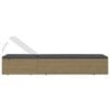 vidaXL Sunlounger Brown and Dark Grey PE rattan Standard Foldable