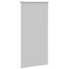 vidaXL Roller Blind Light Grey 100% Polyester 27.6 x 51.2 in