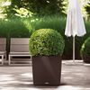 LECHUZA Standing Planter Mocha Plastic Large Planters