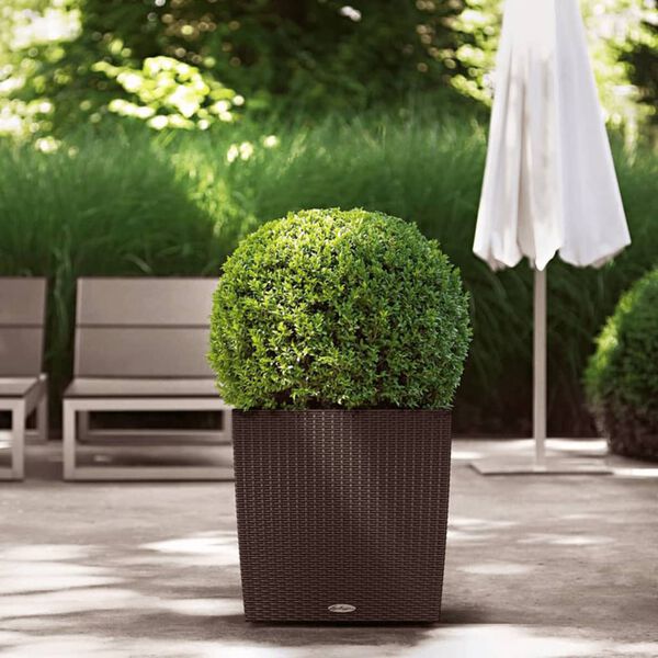 LECHUZA Standing Planter Mocha Plastic Large Planters