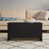 vidaXL Coffee Table Black Engineered Wood 40.2 x 21.9 x 20.7 in