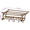 vidaXL Luggage Rack with Coat Hangers Wall Mounted Aluminum