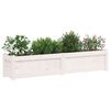 vidaXL Garden Planter Set of 2 White Solid pine wood Generous