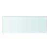 vidaXL Glass Panel Clear Tempered glass 15.7 x 5.9 in Glass Shelf Panel