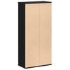 vidaXL Bookcase Black Engineered wood Medium Bookcase Rectangular
