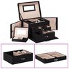 vidaXL Jewellery Box 3-Layer with Mirror Lockable Black 10.2x7.1x6.9"
