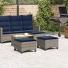 vidaXL Garden Stool Grey PE Rattan, Powder-Coated Steel Standard