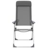 vidaXL Folding Camping Chairs 2 pcs Gray Aluminum