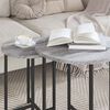 vidaXL Side Table Set 2 pcs Grey Sonoma and Black