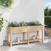 vidaXL Garden Planter Beige 63.58 x 17.72 x 30.12 in Solid Fir Wood
