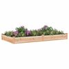 vidaXL Garden Raised Bed Natural wood Solid fir wood Large