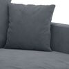 vidaXL 2-seater Sofa Dark Gray Velvet (100% polyester) Medium