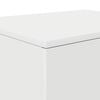 vidaXL Storage Cabinet 2 pcs White 40.55 x 16.14 x 15.75 in