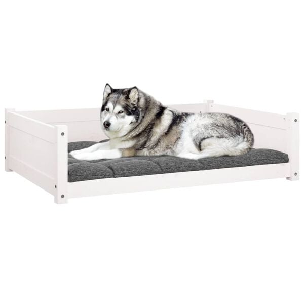 vidaXL Dog Bed White Solid Pine Wood 41.5 x 29.7 x 11.0 in Minimalistic