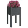 vidaXL Garden Planter Grey Solid Pinewood Medium Durable