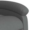 vidaXL Stand Up Massage Recliner Chair Dark grey