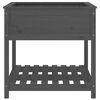 vidaXL Planter Grey Solid pine wood Medium Planter Rectangular