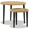 vidaXL Coffee Table Set of 2 Natural Beige Steel, Jute One Size