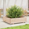 vidaXL Garden Planter Natural Wood Solid Pine Wood Medium Durable