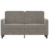 vidaXL 2-seater Sofa Light grey Velvet (100% polyester), metal, plywood