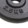 vidaXL Weight Plates 8 pcs 8x5.5 lb Cast Iron