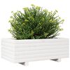 vidaXL Garden Planter White Solid pinewood Decorative Inlays