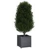 vidaXL Garden Planter Set of 2 Grey Solid Pinewood 19.7x19.7x19.7 in