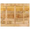 vidaXL Table Top Natural wood Solid rough mango wood 39.4x31.5 in