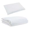 vidaXL Summer Duvet with Pillow 2 pcs White Down Feather