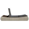 vidaXL Double Sun Lounger Light grey PE rattan, Powder-coated steel Double