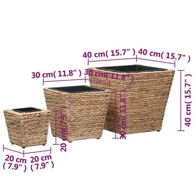 vidaXL Garden Raised Beds 3 pcs Water Hyacinth